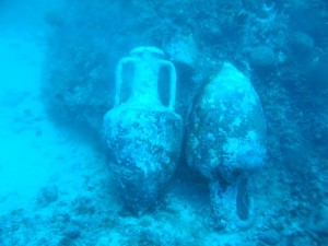 Denegri 8