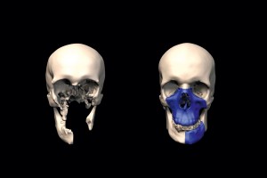 skull0_1